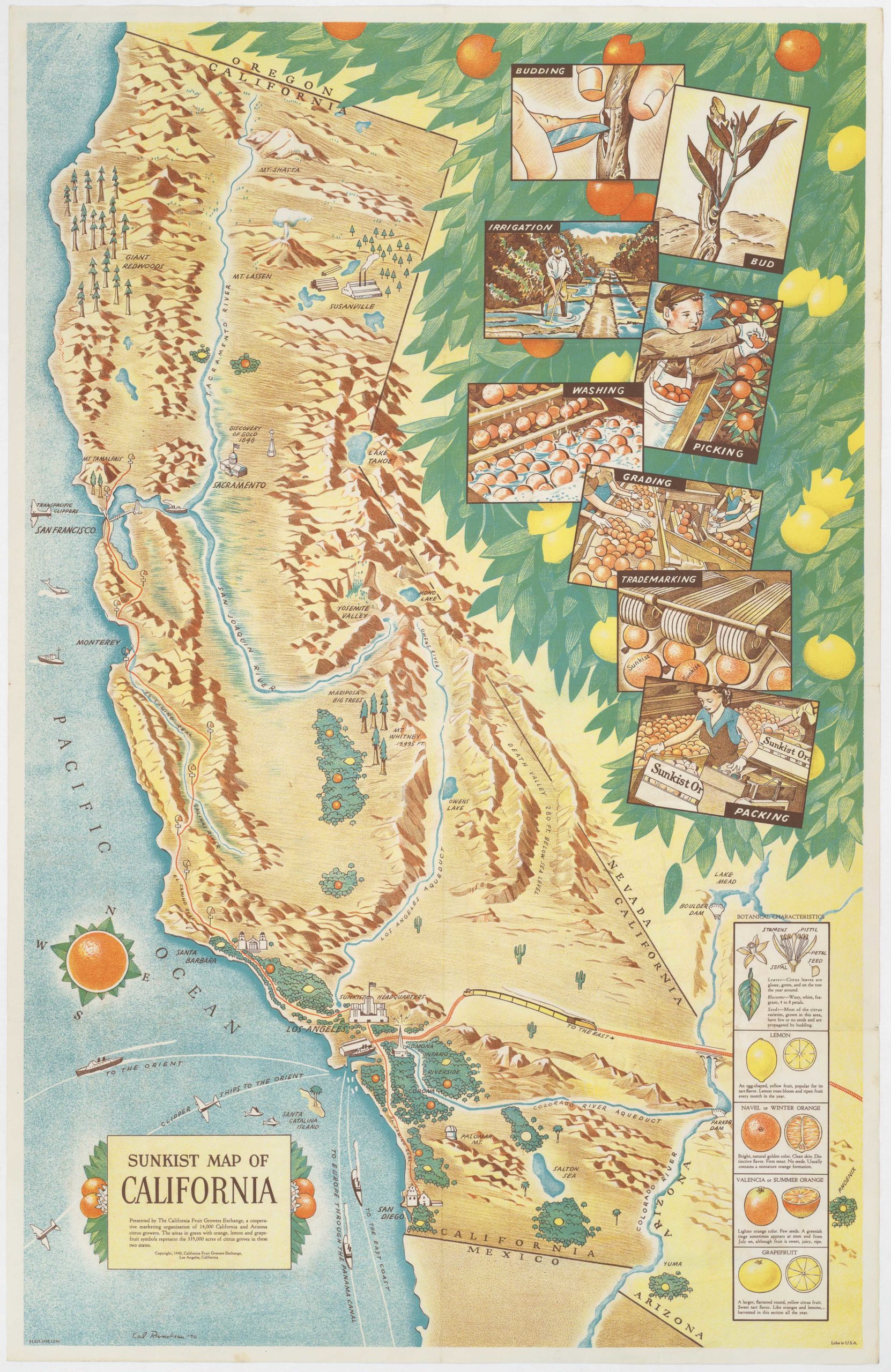 Sunkist Map of California - Neatline